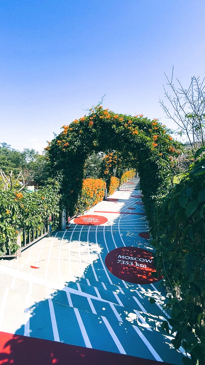 免費景點,新北公園,永吉公園,炮仗花