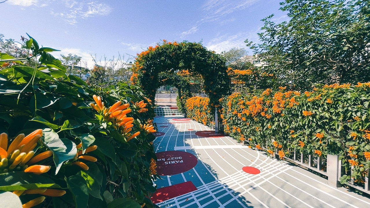 免費景點,新北公園,永吉公園,炮仗花