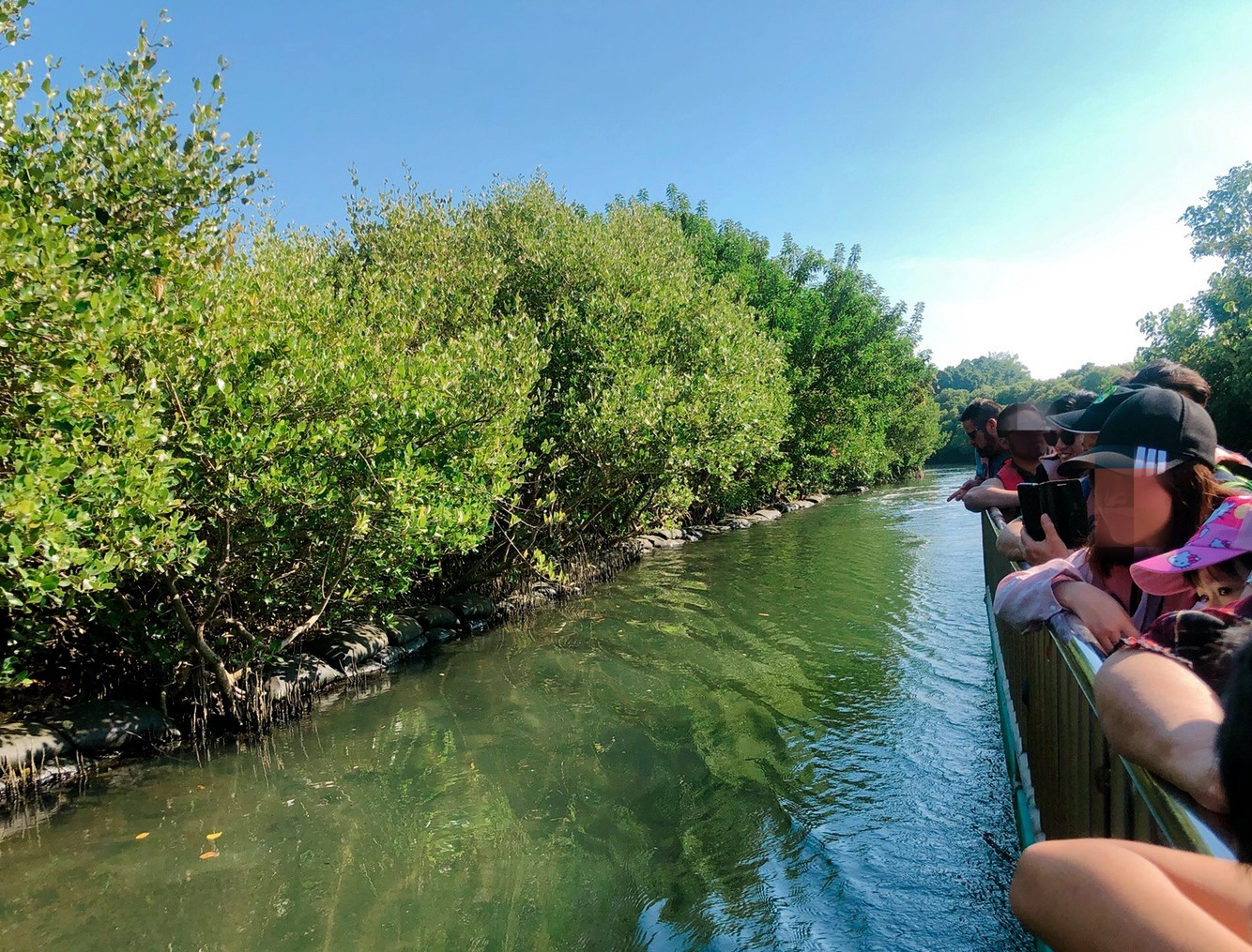 四草綠色隧道，抹香鯨博物館，臺南景點