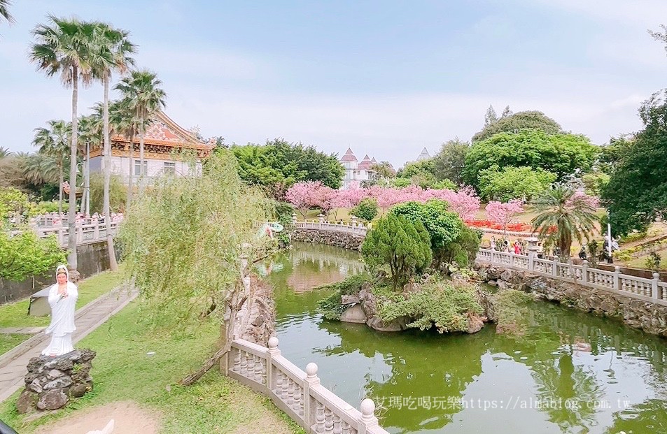 免費景點,林口景點,櫻花,竹林寺,竹林山觀音寺,賞櫻花