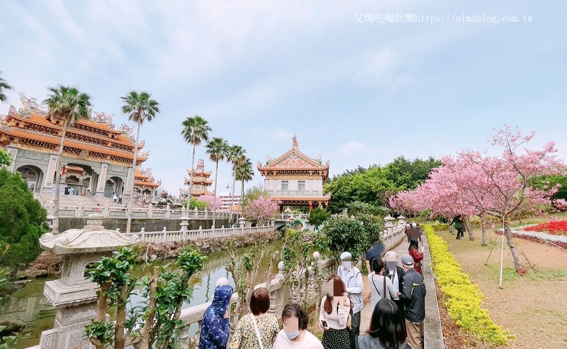 免費景點,林口景點,櫻花,竹林寺,竹林山觀音寺,賞櫻花