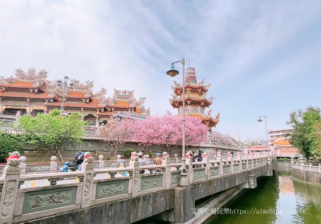 免費景點,林口景點,櫻花,竹林寺,竹林山觀音寺,賞櫻花