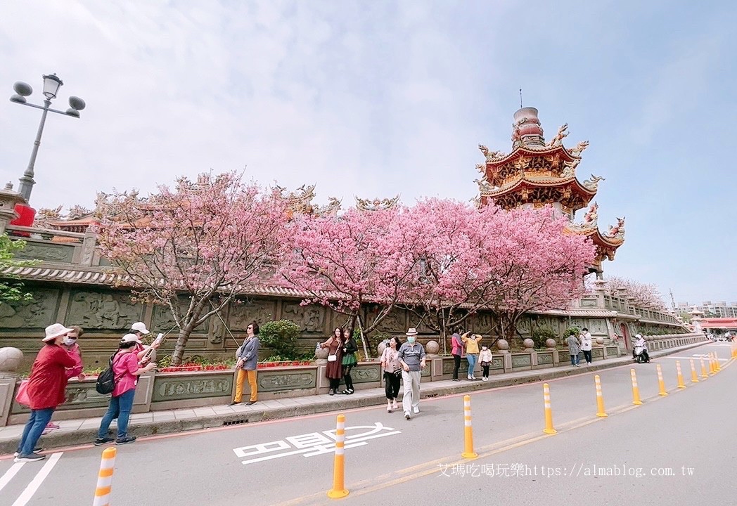 免費景點,林口景點,櫻花,竹林寺,竹林山觀音寺,賞櫻花