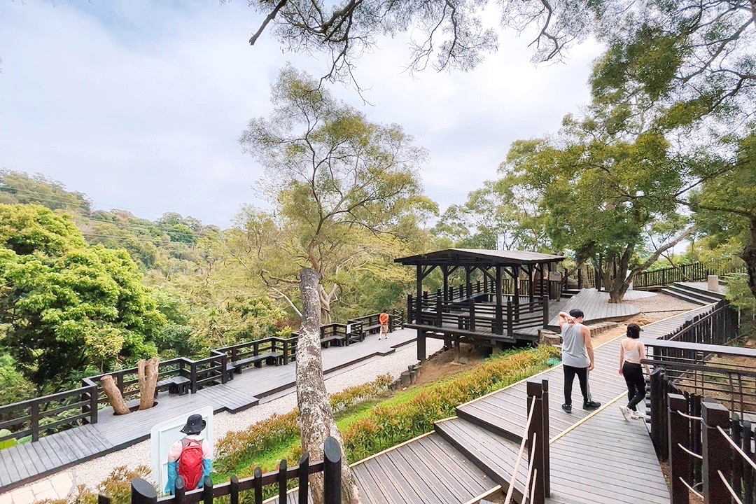 臺中公園,風動石公園,風動石森林體驗空間