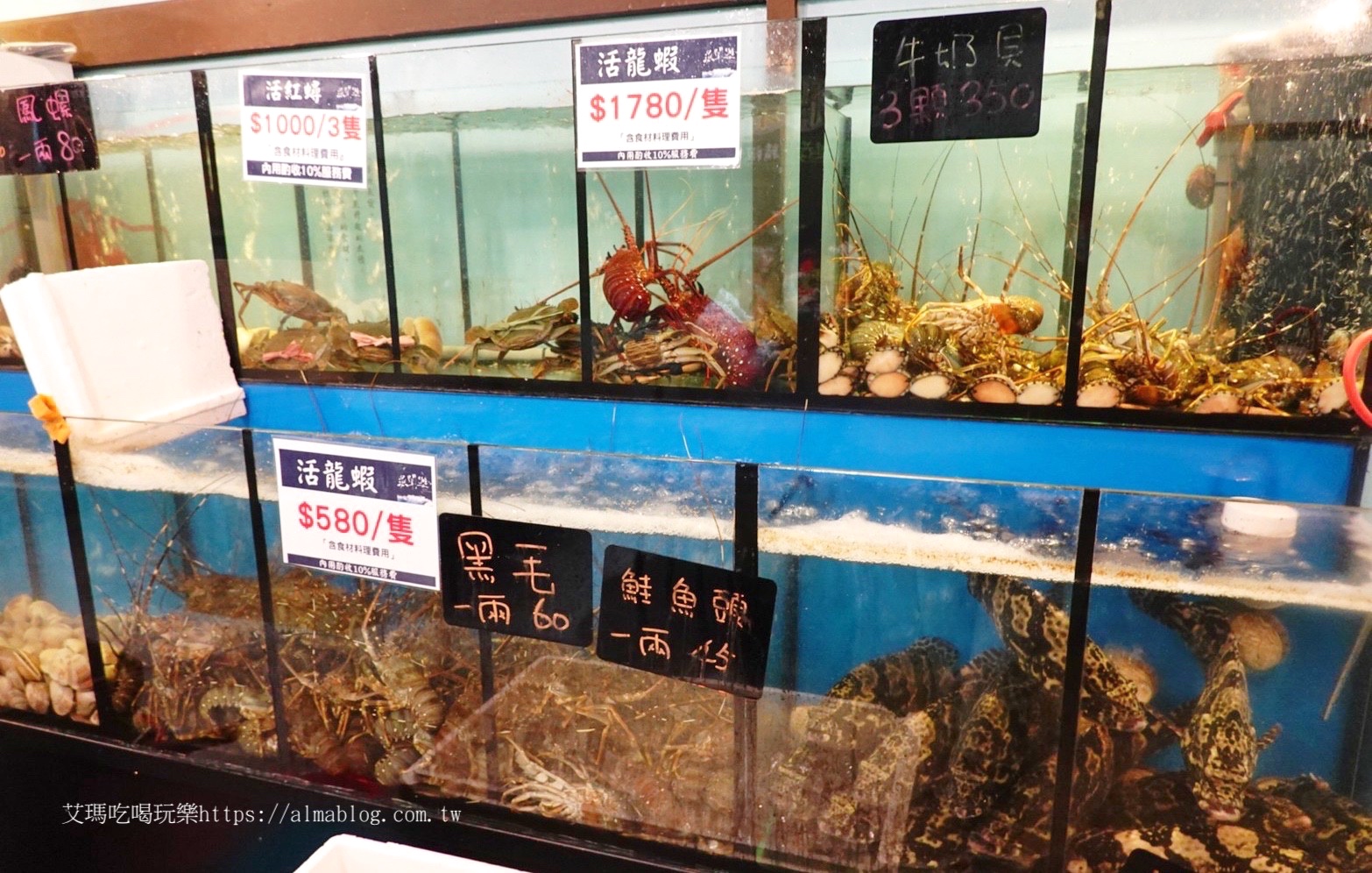 臺北美食,活海鮮,海鮮餐廳,漁聞樂海鮮料理,龍蝦