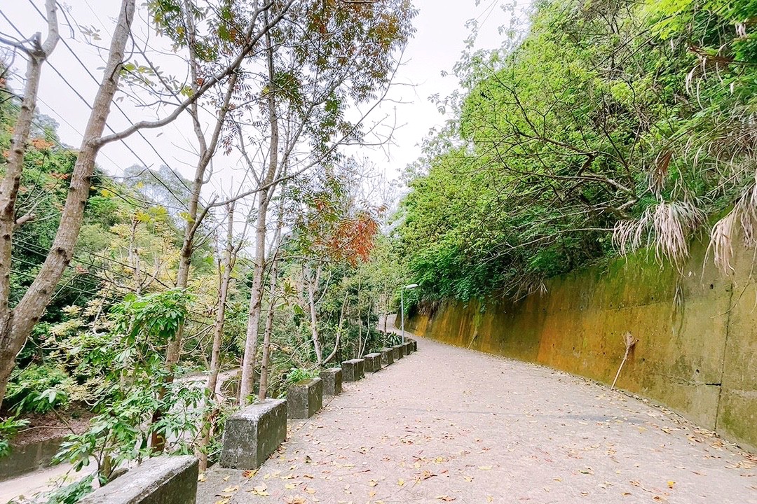 臺中公園,風動石公園,風動石森林體驗空間