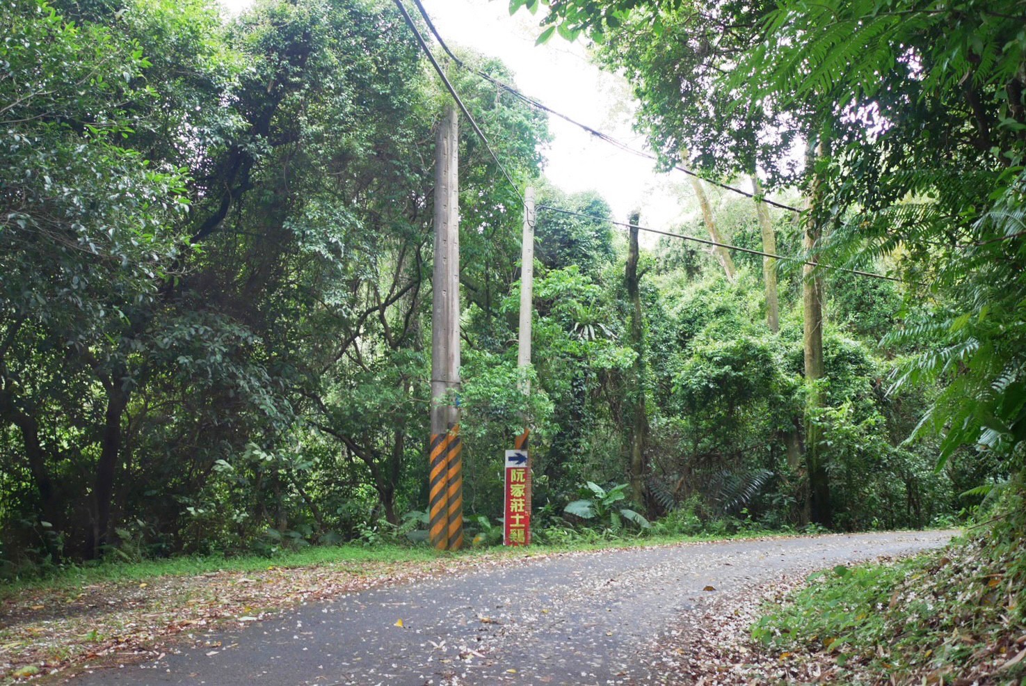 大溪景點,阮家莊土雞城