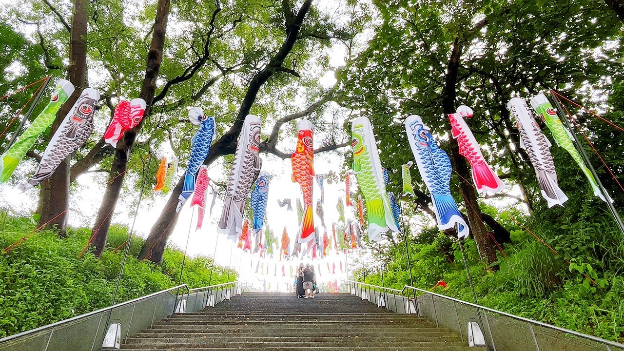 免費景點,桃園忠烈祠暨神社,鯉魚流光祭