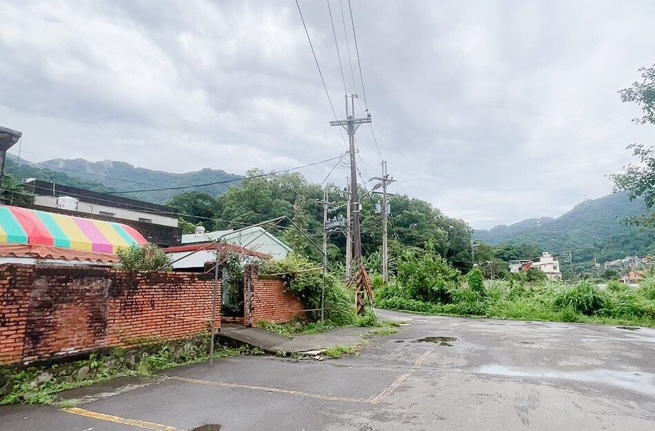 三峽美食,土雞,土雞城,好滋味土雞莊,新北美食,沙拉冷筍,炒山蘇,脆皮雞,金沙中卷