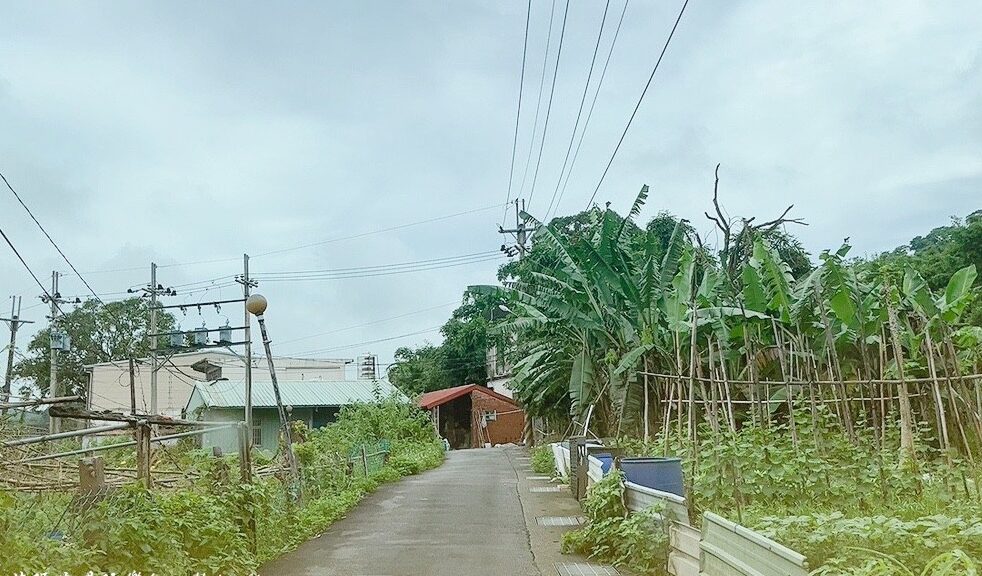 三峽美食,土雞,土雞城,好滋味土雞莊,新北美食,沙拉冷筍,炒山蘇,脆皮雞,金沙中卷