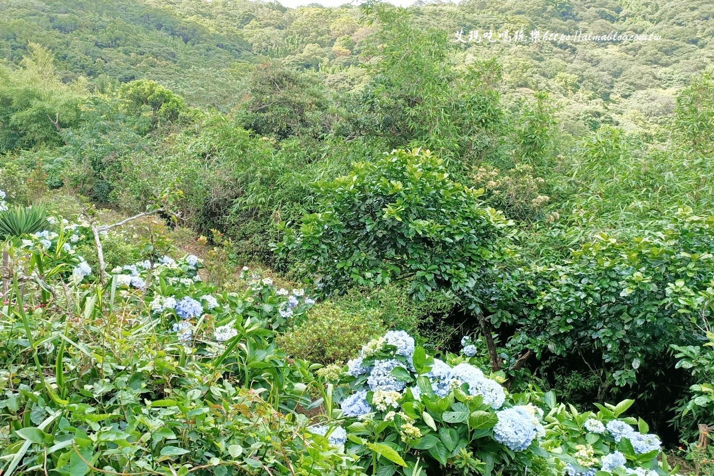 臺北景點,硬漢嶺