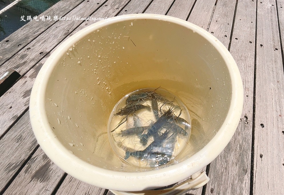 宜蘭景點,輕親魚朵生態園區,釣蝦,釣魚,鹽焗臺灣鯛