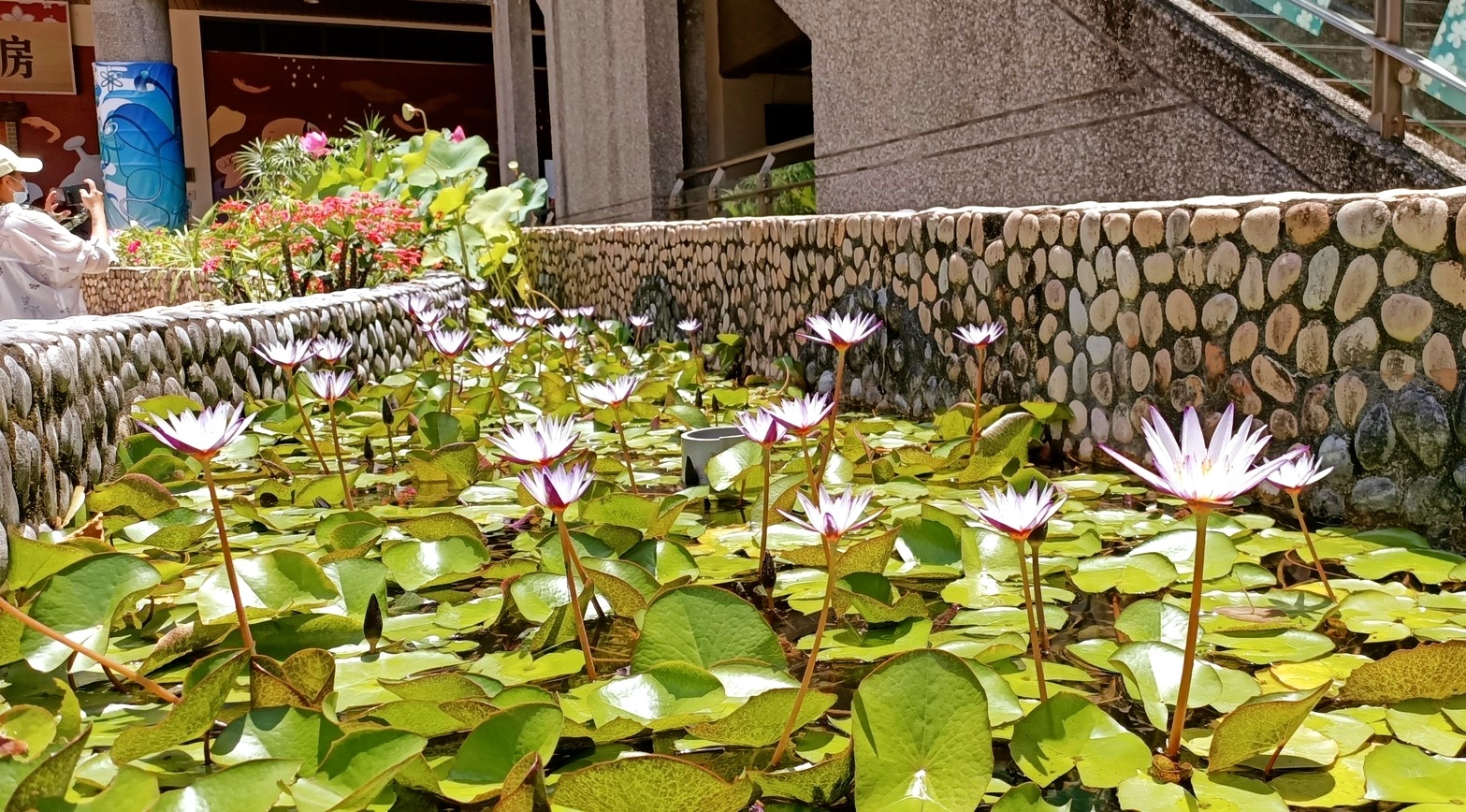 三峽景點,臺北景點,客家館,新北市客家文化園區(qū),雨天備案