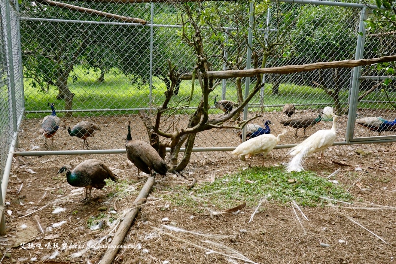 蘇家莊園