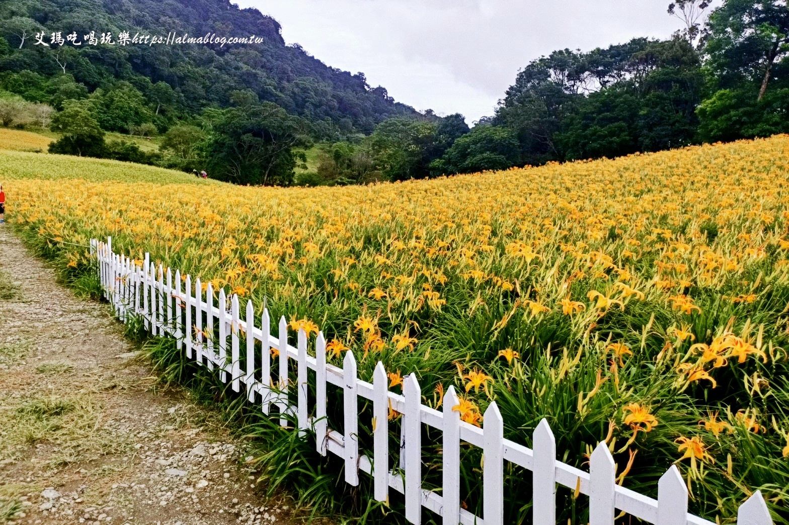 赤科山