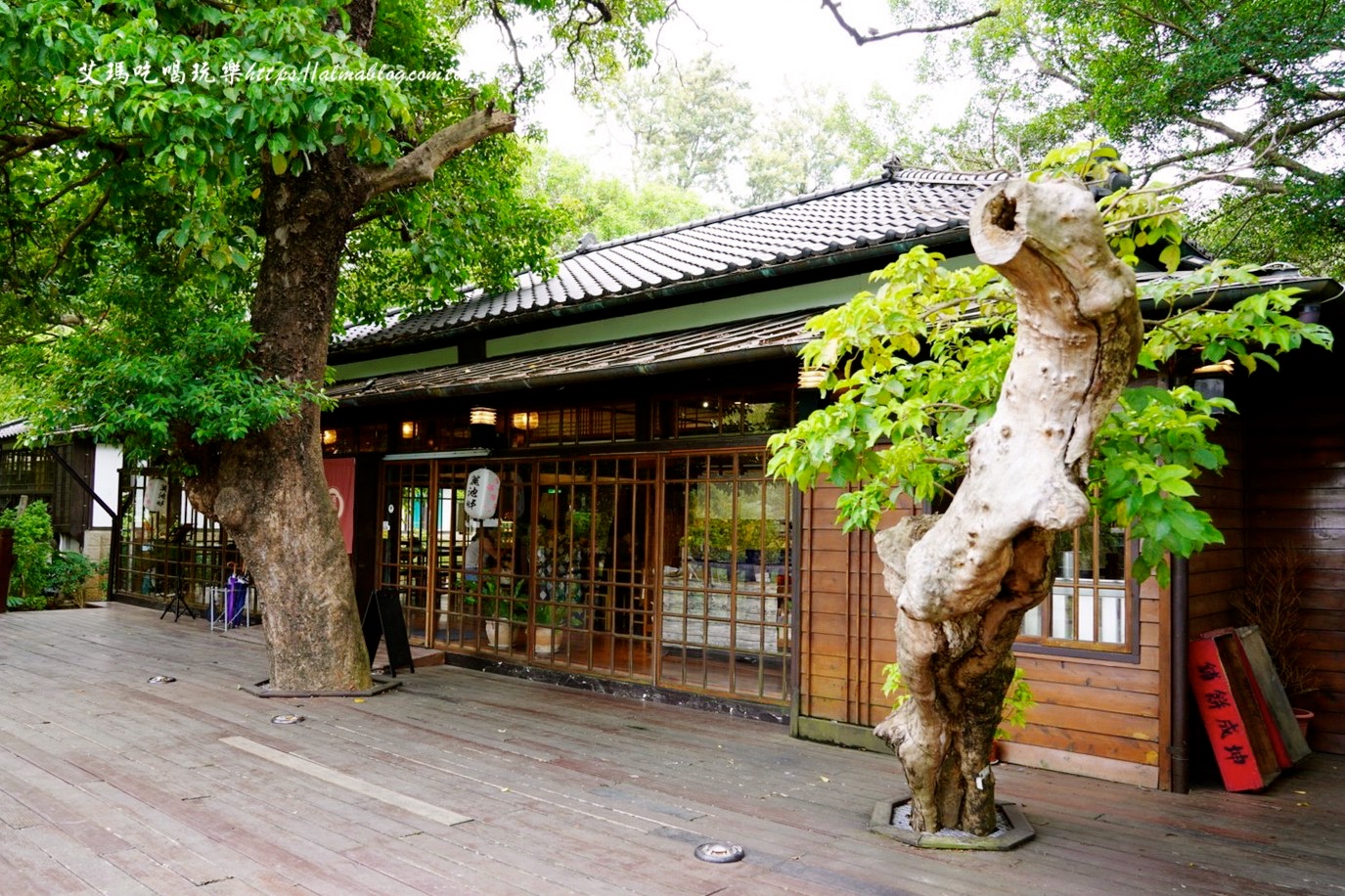 麗池畔,新竹公園,老宅,定食,日料,立體拉花,麗池生活美學(xué)館,餵食,公園,免費景點,鯖魚定食