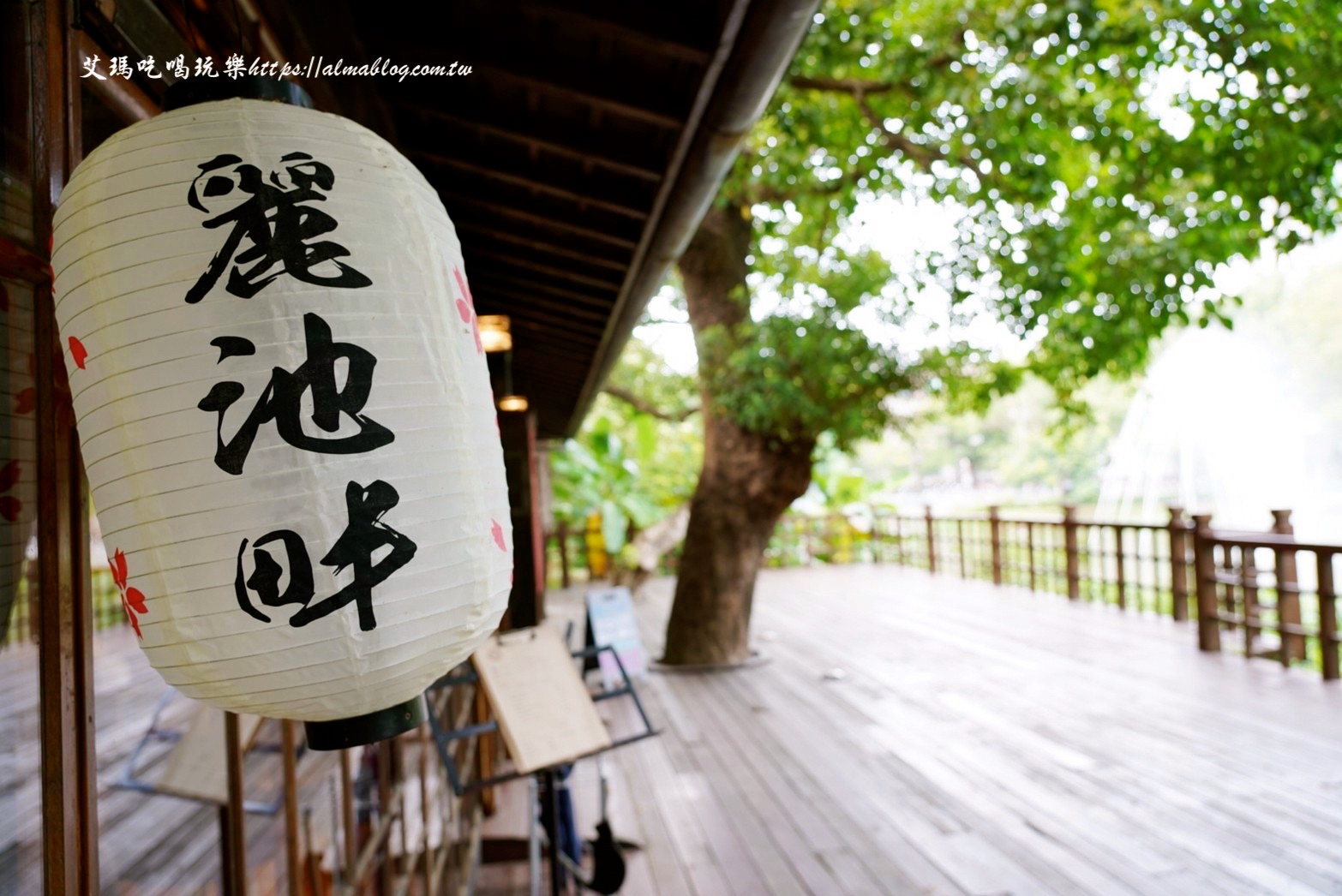 麗池畔,新竹公園,老宅,定食,日料,立體拉花,麗池生活美學(xué)館,餵食,公園,免費景點,鯖魚定食