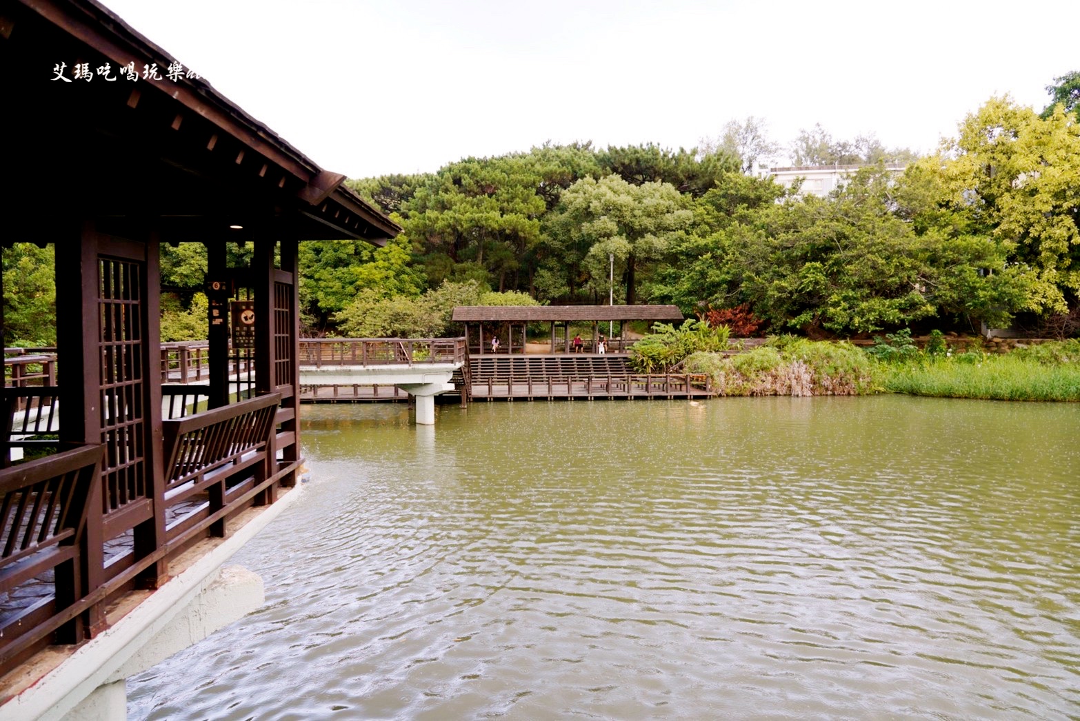 麗池畔,新竹公園,老宅,定食,日料,立體拉花,麗池生活美學(xué)館,餵食,公園,免費景點,鯖魚定食