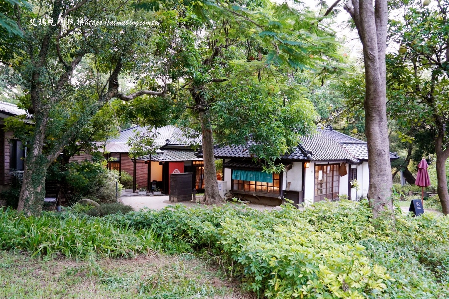 麗池畔,新竹公園,老宅,定食,日料,立體拉花,麗池生活美學(xué)館,餵食,公園,免費景點,鯖魚定食