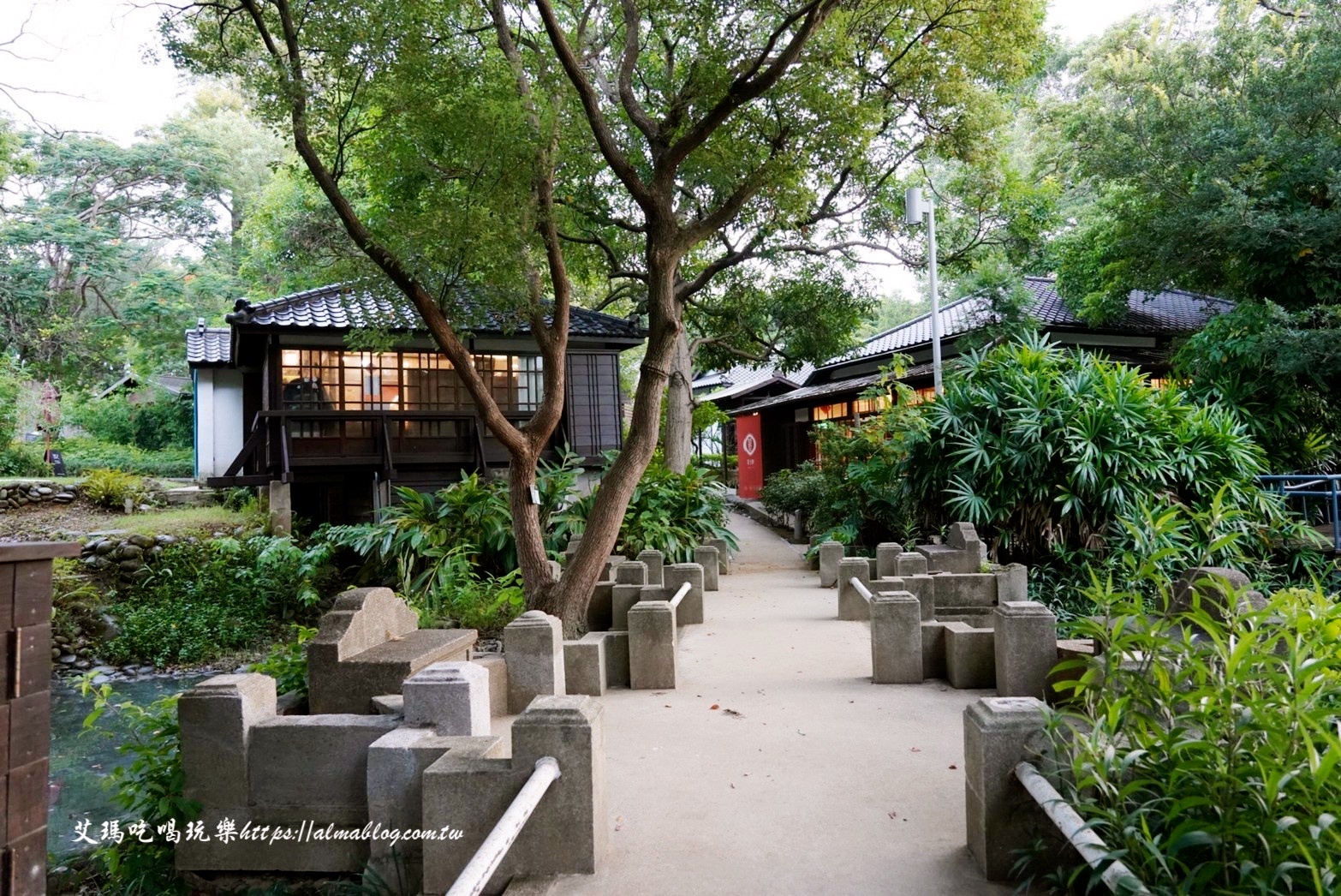 麗池畔,新竹公園,老宅,定食,日料,立體拉花,麗池生活美學(xué)館,餵食,公園,免費景點,鯖魚定食