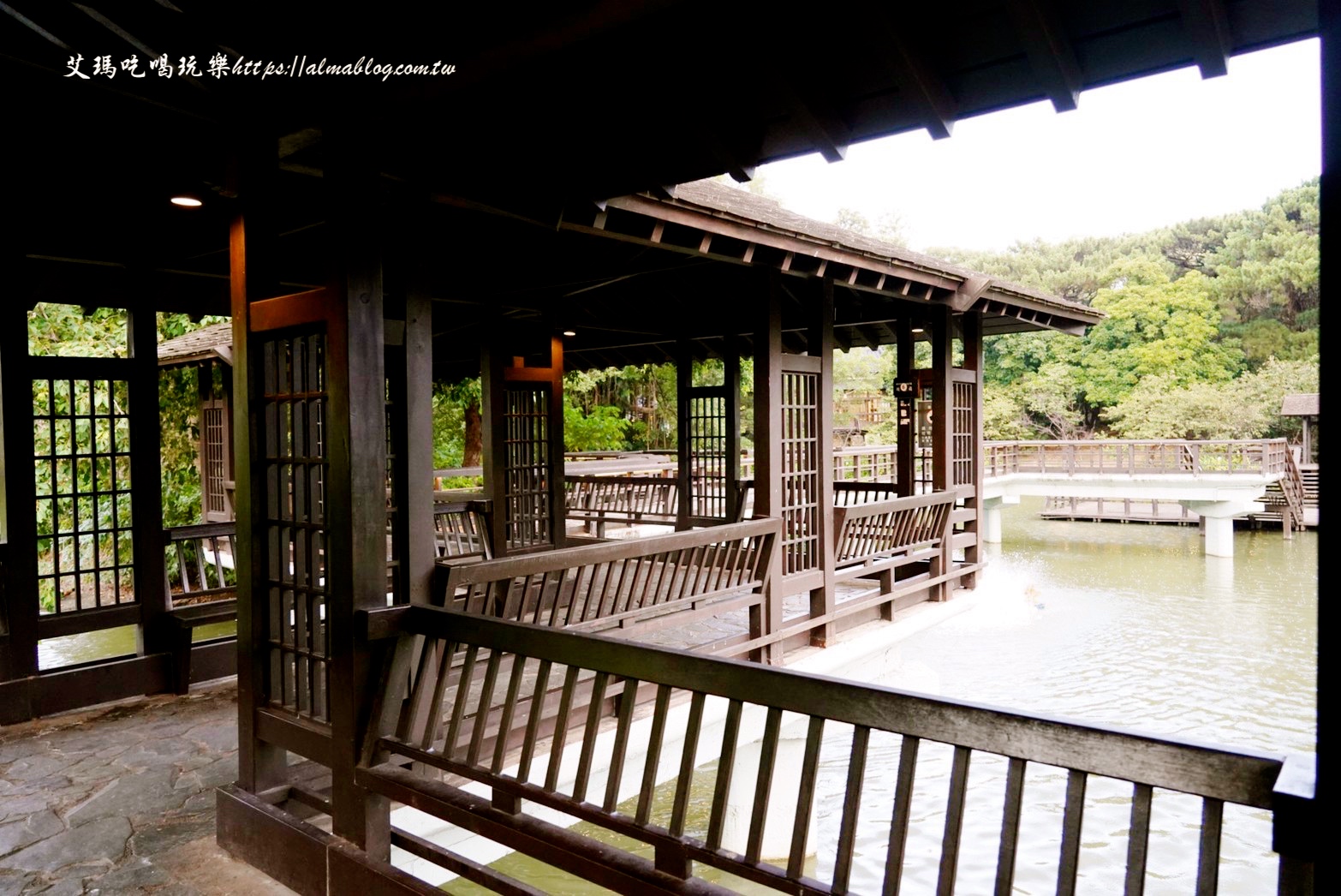 麗池畔,新竹公園,老宅,定食,日料,立體拉花,麗池生活美學(xué)館,餵食,公園,免費景點,鯖魚定食