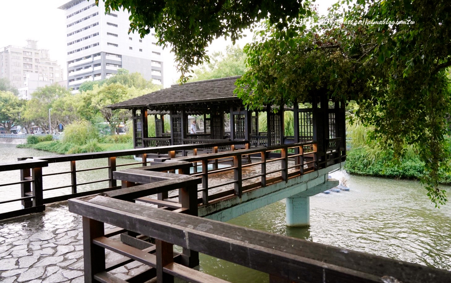 麗池畔,新竹公園,老宅,定食,日料,立體拉花,麗池生活美學(xué)館,餵食,公園,免費景點,鯖魚定食