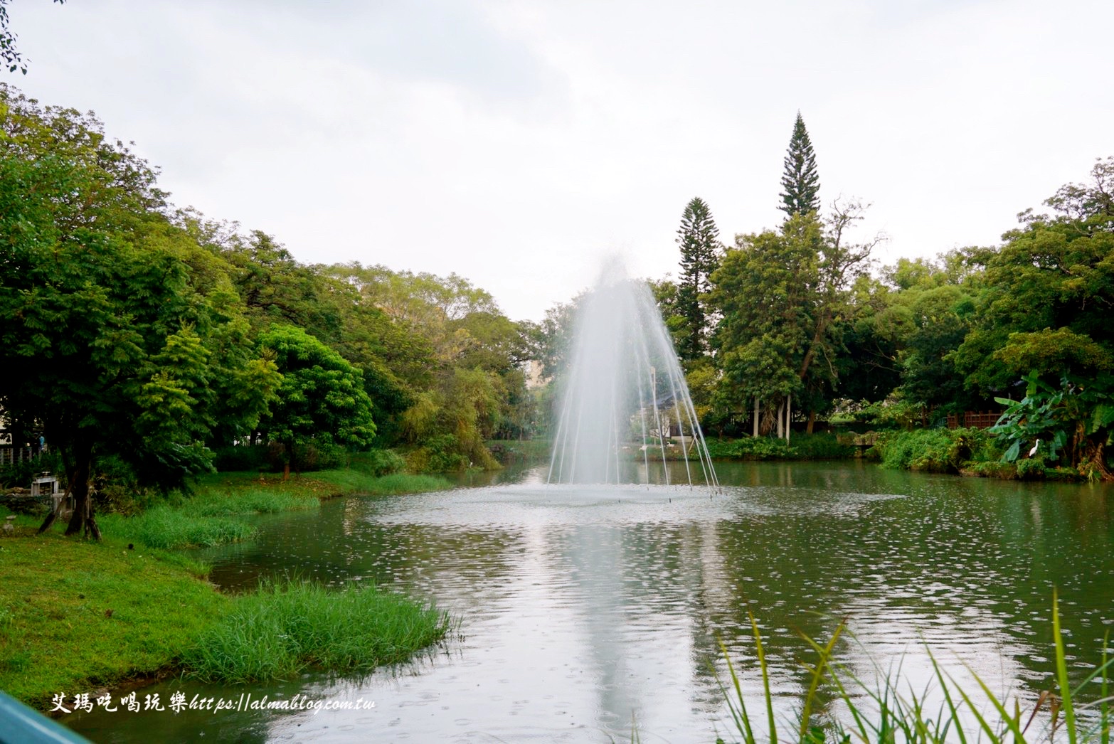 麗池畔,新竹公園,老宅,定食,日料,立體拉花,麗池生活美學(xué)館,餵食,公園,免費景點,鯖魚定食