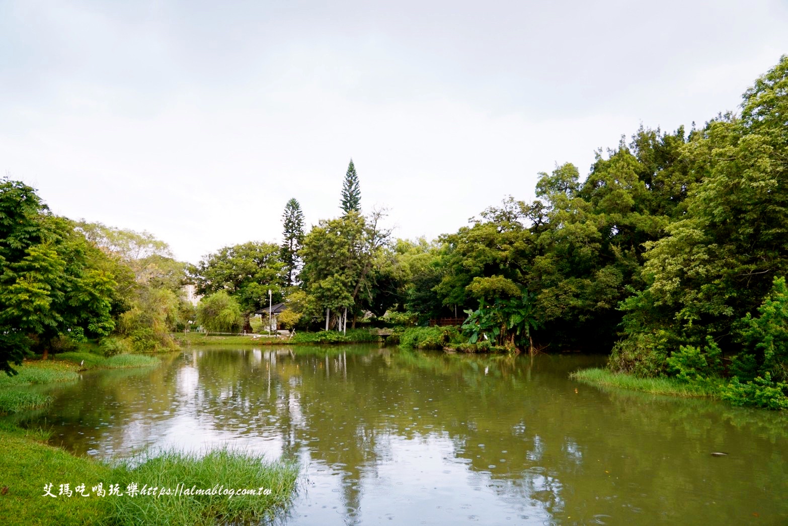 麗池畔,新竹公園,老宅,定食,日料,立體拉花,麗池生活美學(xué)館,餵食,公園,免費景點,鯖魚定食