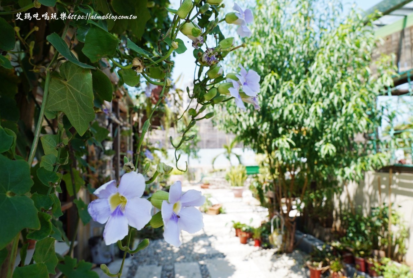 47二次方咖啡花園