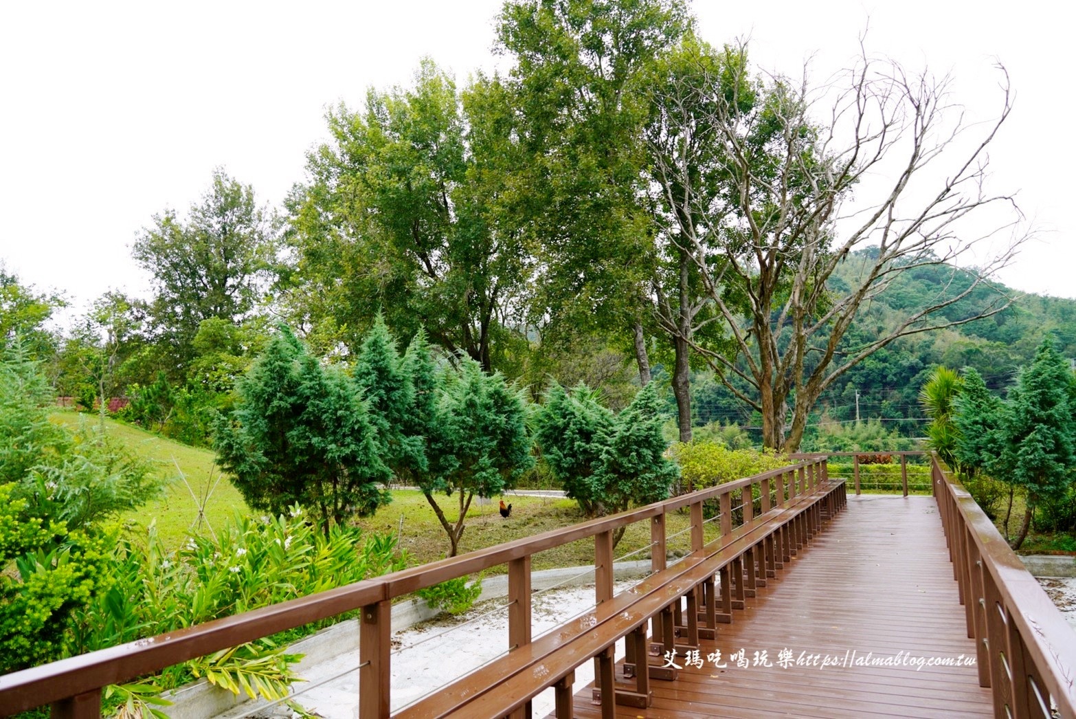 苗栗景點,親子景點,日新島,咖啡館,苗栗美食