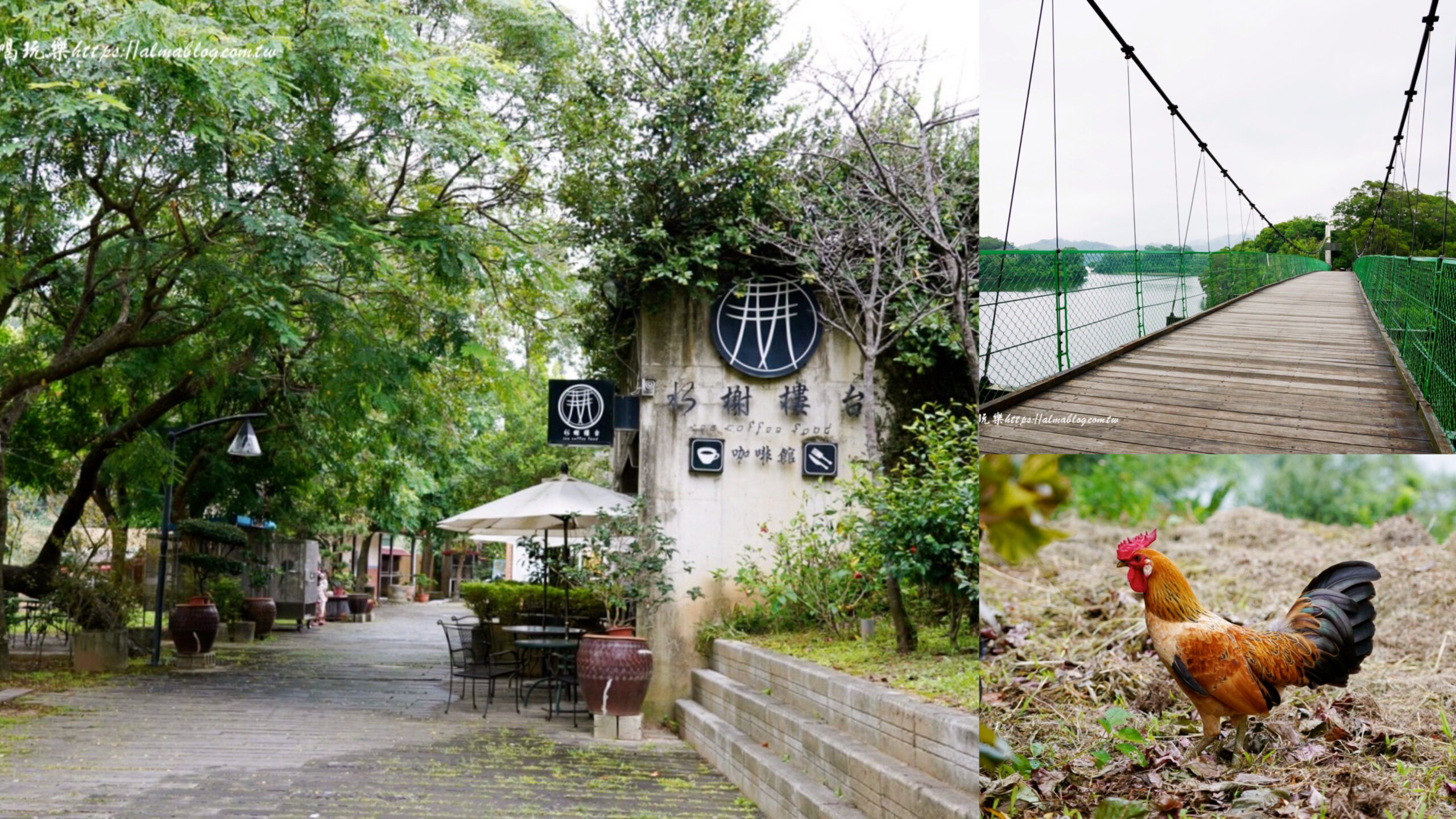 咖啡館,日新島,苗栗景點,苗栗美食,親子景點 @艾瑪  吃喝玩樂札記