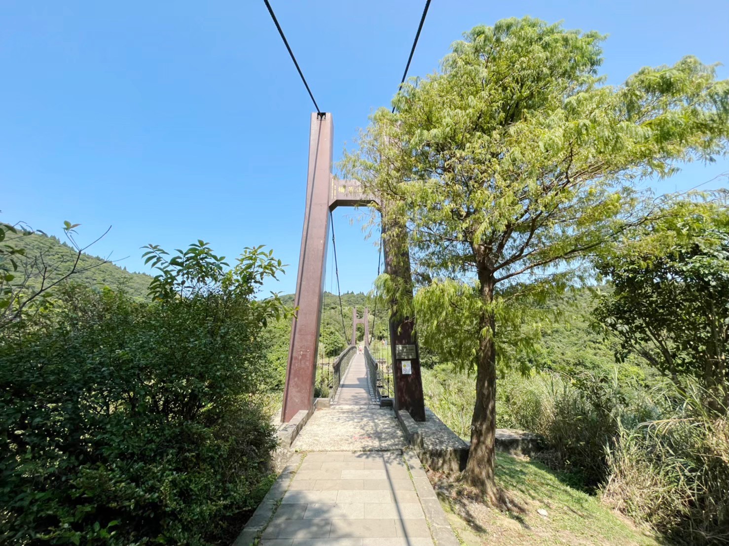 臺北景點,陽明山,免費景點,冷水坑,牛奶湖,登山,菁山吊橋