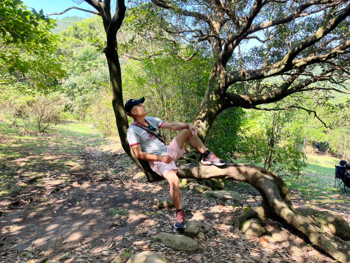 臺北景點,陽明山,免費景點,冷水坑,牛奶湖,登山,菁山吊橋