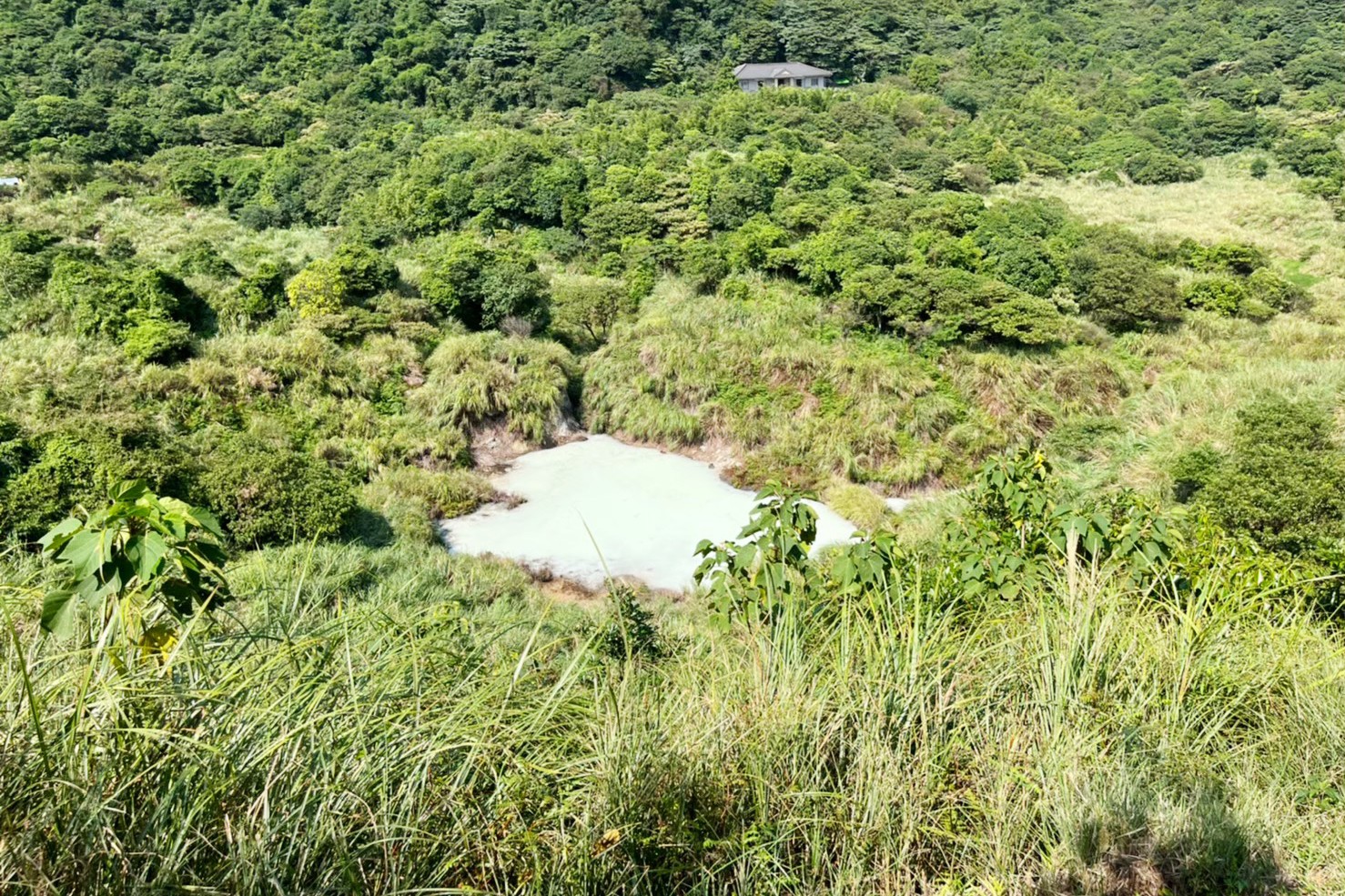 臺北景點,陽明山,免費景點,冷水坑,牛奶湖,登山,菁山吊橋