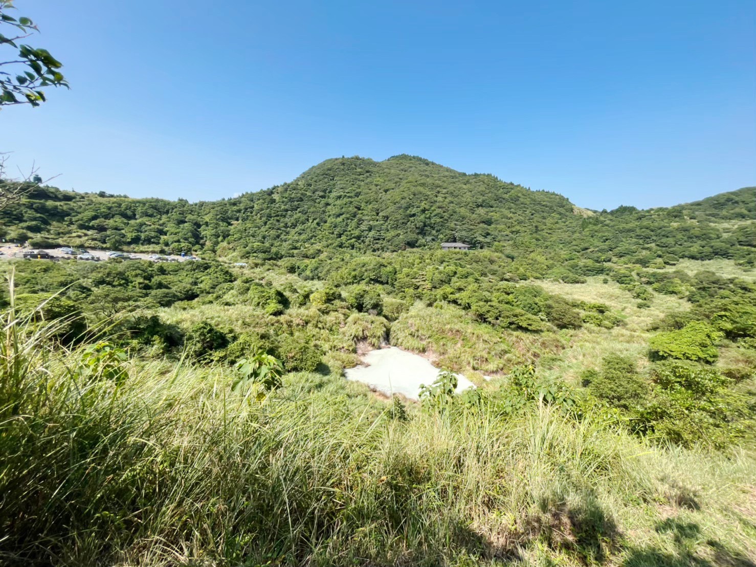 臺北景點,陽明山,免費景點,冷水坑,牛奶湖,登山,菁山吊橋