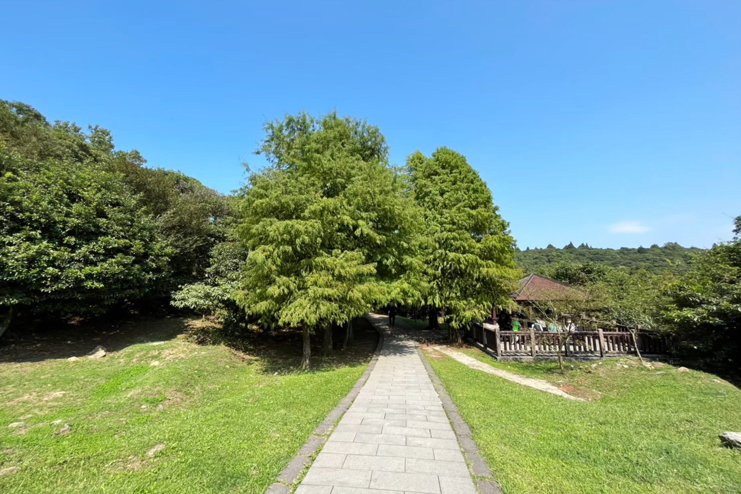 臺北景點,陽明山,免費景點,冷水坑,牛奶湖,登山,菁山吊橋