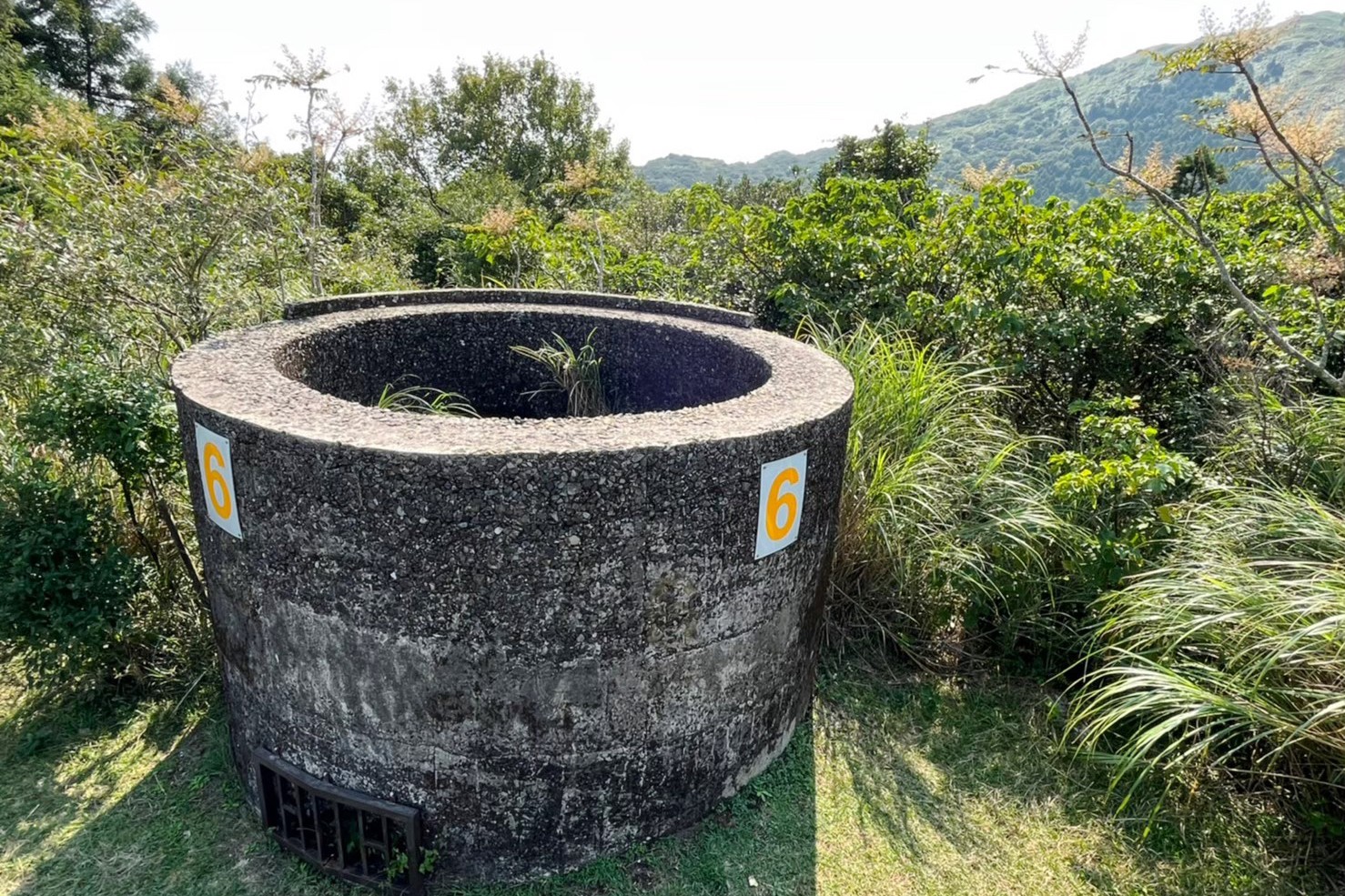 臺北景點,陽明山,免費景點,冷水坑,牛奶湖,登山,菁山吊橋