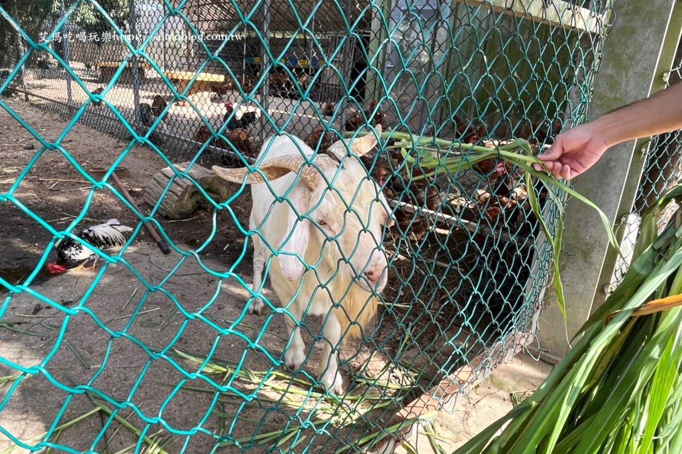 隆泉休閒農場