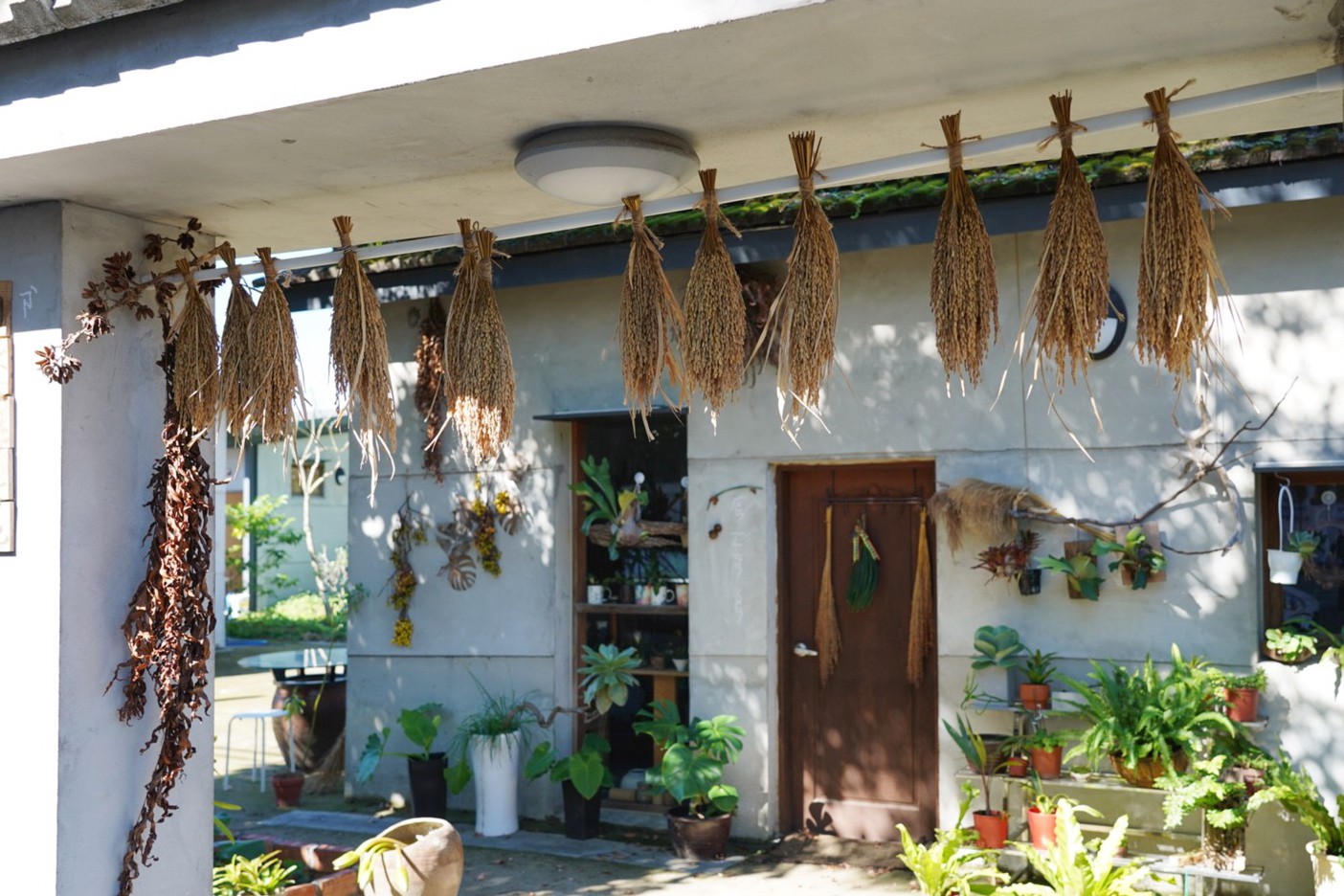 南園活魚老店餐廳