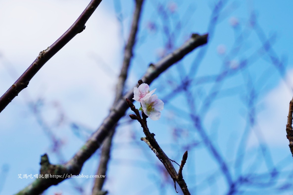 華之友自然景觀農園