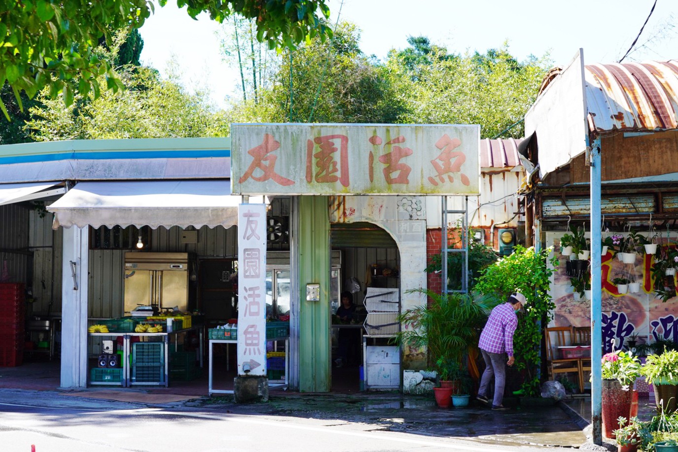 南園活魚老店餐廳