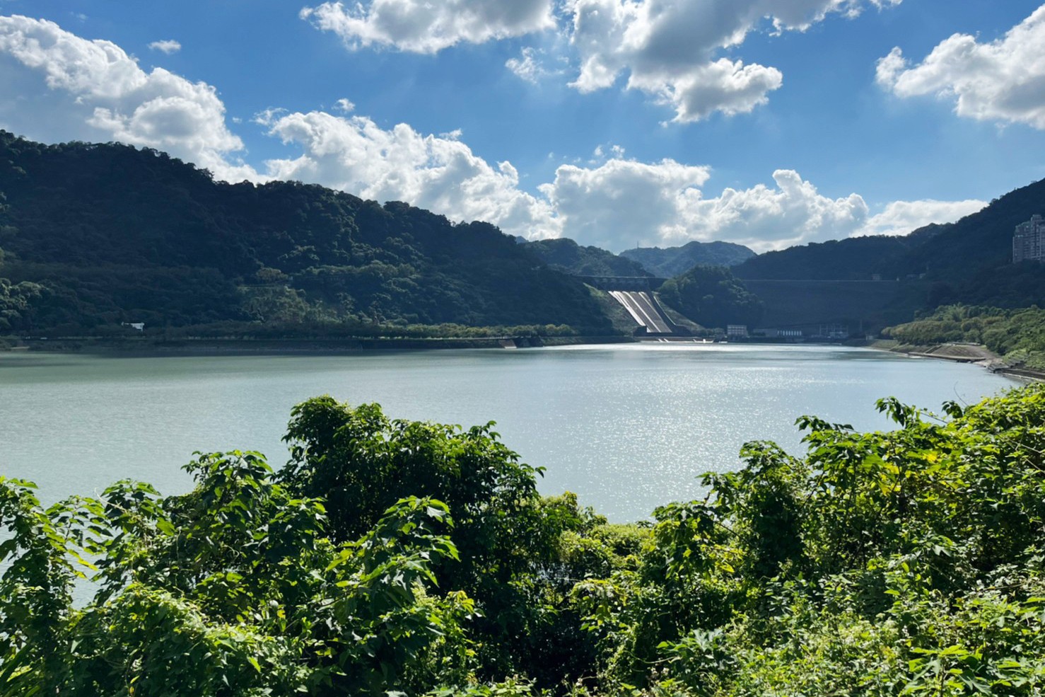 桃園美食,大溪咖啡,限量甜點,石門水庫,尼爾瓦特 NEAR WATER café,咖啡館