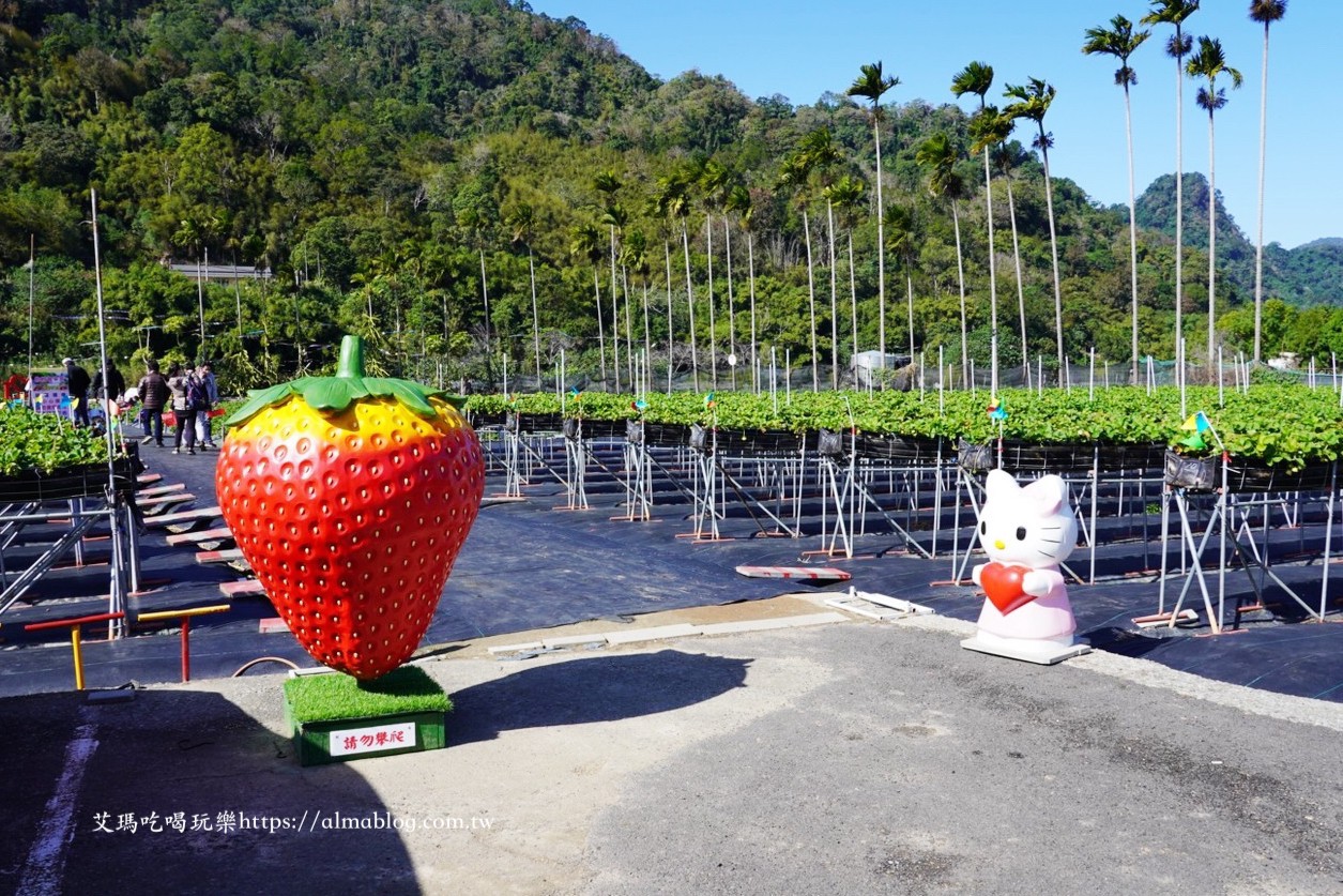 太湖觀光草莓園