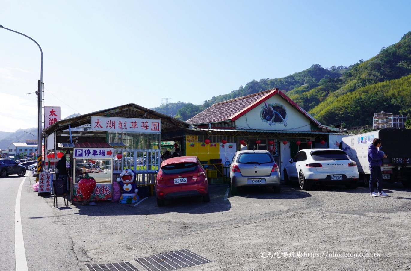 太湖觀光草莓園