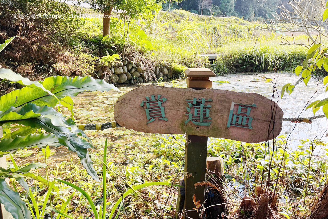 小木屋竹圃茶園