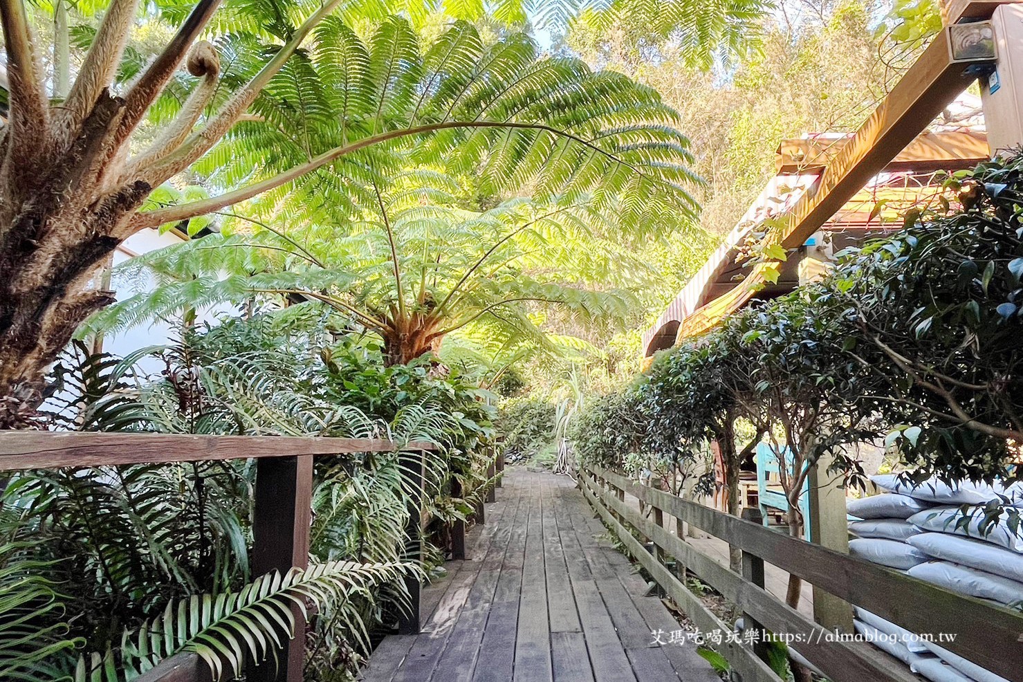 小木屋竹圃茶園