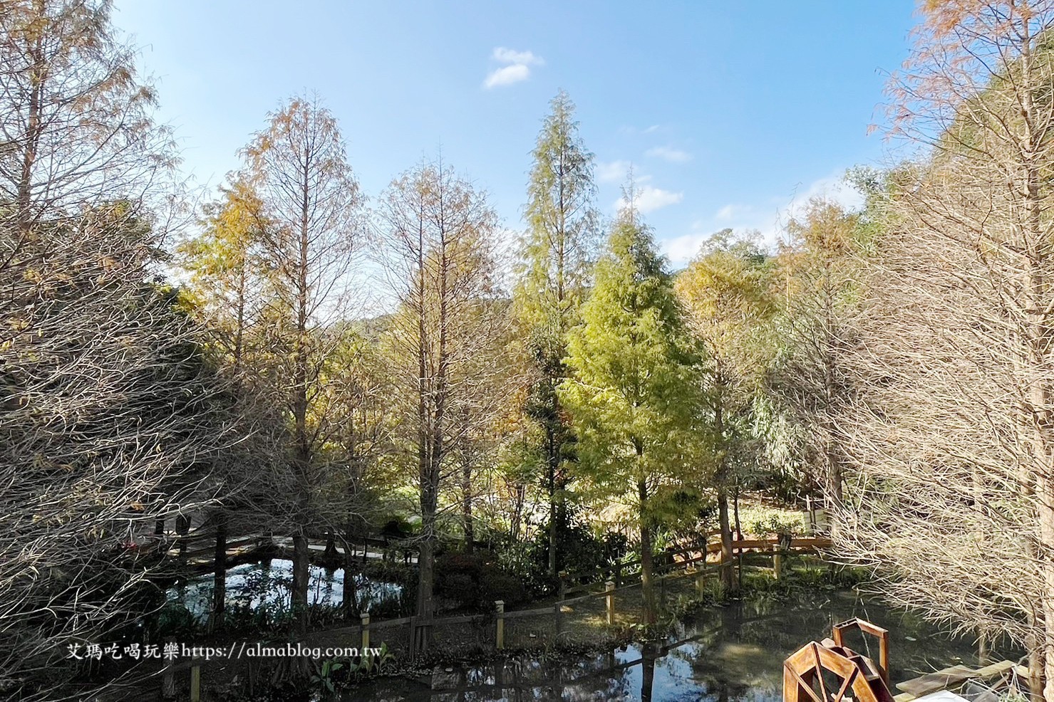 小木屋竹圃茶園