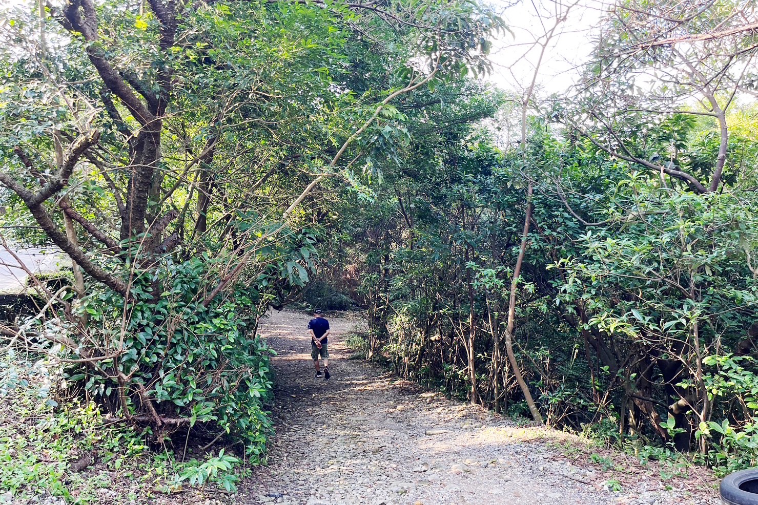 下七股野溪溫泉