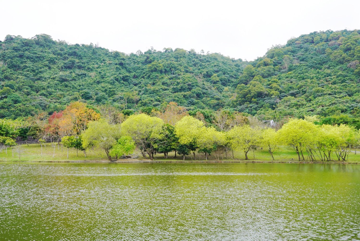 蘭陽博物館