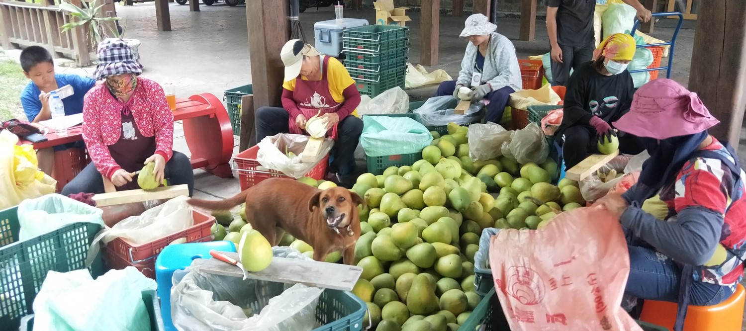 花蓮、名產(chǎn)、伴手禮、必吃、必買、必喝、中華路、中山路、金三角、東大門,花蓮伴手禮、花蓮名產(chǎn)、花蓮?fù)扑]伴手禮,花蓮超人氣伴手禮、花蓮必買伴手禮,花蓮薯、麻糬、健康名產(chǎn),土鳳梨酥、金鑽鳳梨酥、文旦酥、臺灣冠軍鳳梨酥、花蓮鳳梨酥,防疫、臺灣手工皂、花蓮手工皂、2023花蓮伴手禮、2023花蓮名產(chǎn)、洗手、洗澡、 、印象花蓮、抗菌防疫手工皂、手工肥皂、植萃冷製皂、大理石紋皂、牛奶沐浴皂,絲瓜絡(luò)去角質(zhì)皂?,Madman手縫皮件